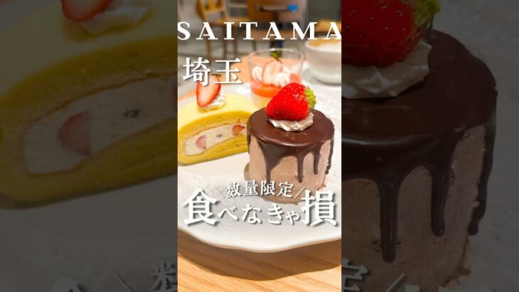 【埼玉】住宅地に佇む隠れ家おしゃれカフェ☕️期間限定チョコケーキが最高すぎた#さいたま市グルメ #さいたま市　#埼玉グルメ #埼玉 #いちごスイーツ