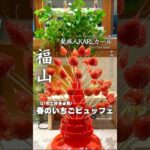 【いちごビュッフェ】期間限定‼︎苺スイーツ盛りだくさんで幸せがすぎた🍓